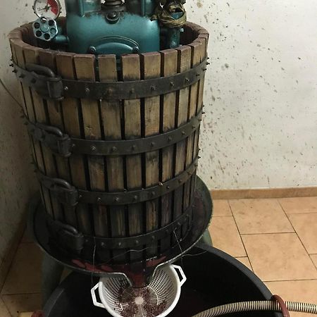 Agriturismo Il Melo Valfabbrica 外观 照片