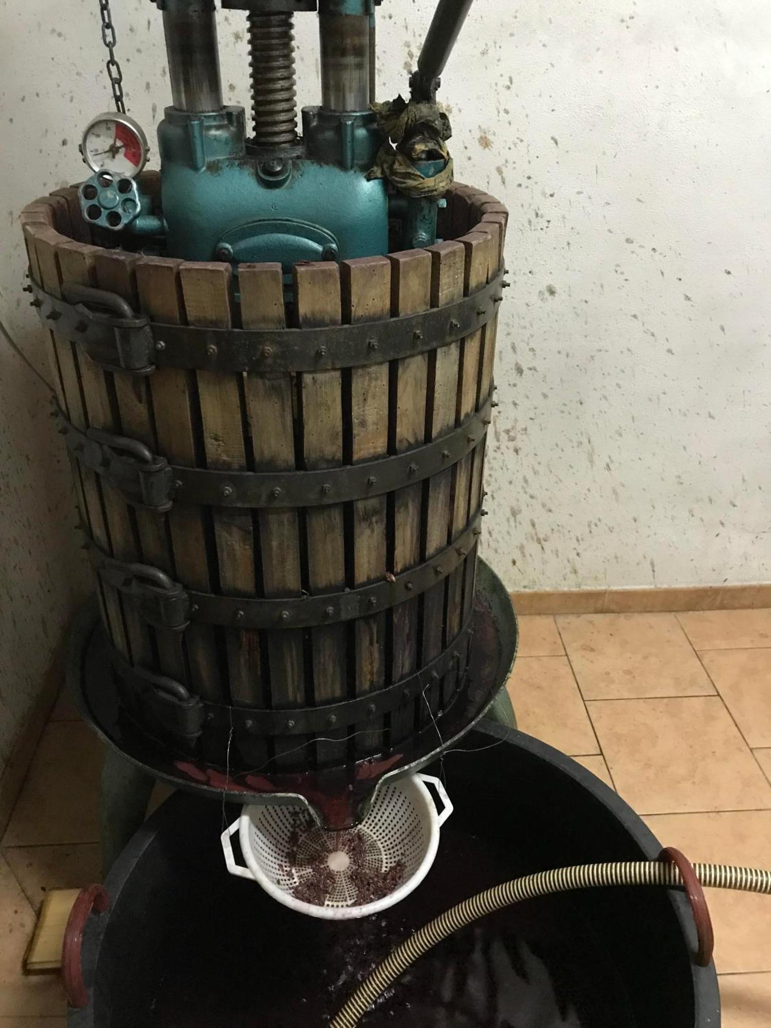 Agriturismo Il Melo Valfabbrica 外观 照片