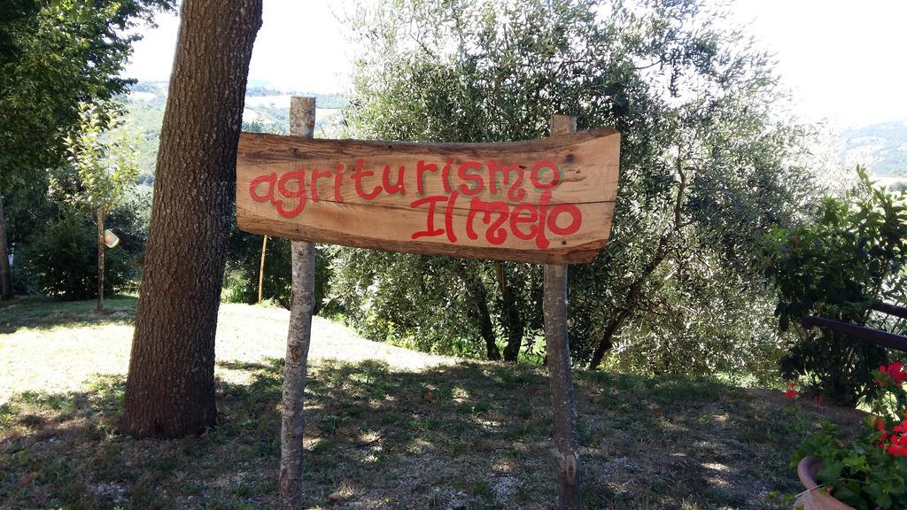 Agriturismo Il Melo Valfabbrica 外观 照片
