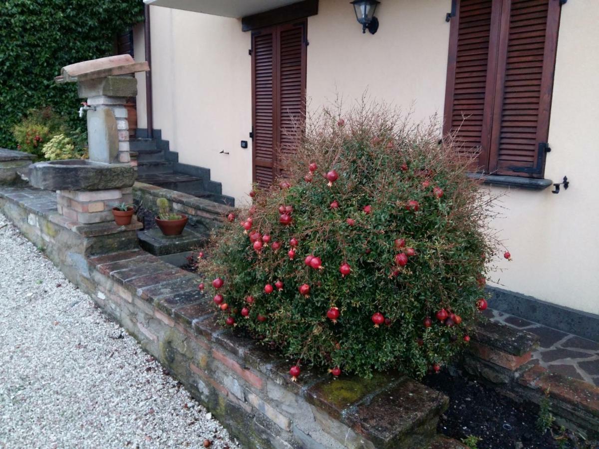 Agriturismo Il Melo Valfabbrica 外观 照片